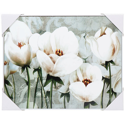 Картина 40х50 см, Белые цветы, Y6-2349