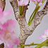 Дерево искусственное декоративное Сакура, в кашпо, 195 см, Y4-3401 - фото 3