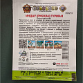Семена Рукола, Гурман, 0.3 г, Кольчуга, цветная упаковка, Русский огород - фото 2