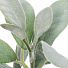 Цветок искусственный декоративный Ветвь эвкалипт, 35 см, в ассортименте, Y4-5510 - фото 3
