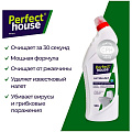 Чистящее средство Perfect House, Антиналет, гель, 900 мл, для унитаза