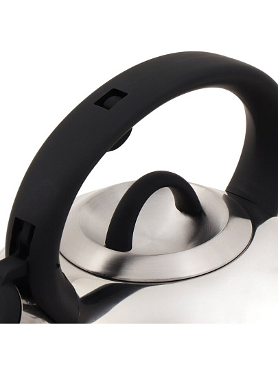 Чайник нержавеющая сталь, 3 л, со свистком, зеркальный, ручка бакелитовая, с силиконовым покрытием, Daniks, Турин, индукция, MSY-075PM