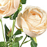Цветок искусственный декоративный Ранункулюс, 60 см, белый, Y4-7960 - фото 2
