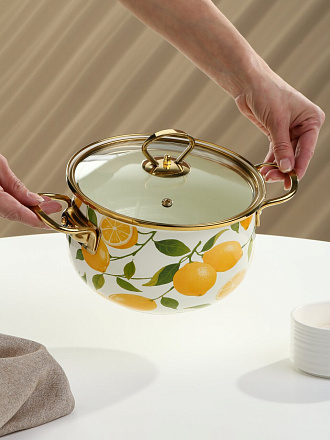 Кастрюля эмалированная сталь, 2.7 л, крышка стекло, Daniks, Лимоны, индукция