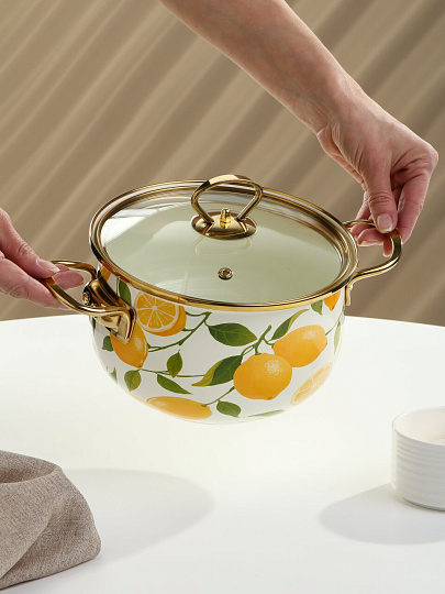 Кастрюля эмалированная сталь, 2.7 л, крышка стекло, Daniks, Лимоны, индукция