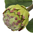 Цветок искусственный декоративный 50 см, зеленый, Y4-5512 - фото 2