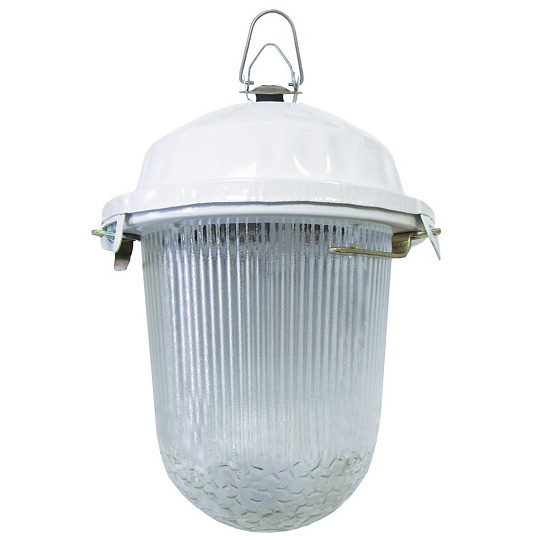 Светильник TDM Electric, 02-100-001.01 У2, настенный, 100 Вт, сталь, 17.2х24.6 см, НСП