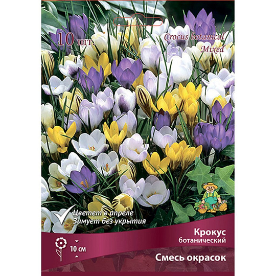 Луковицы Крокус ботанический, Смесь сортов, 5-7/К, 10 шт