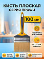 Кисть плоская, Акор, Профи, для эмалей, нержавеющая сталь, 12х100 мм, рукоятка двухкомпонентная, 162 10 012