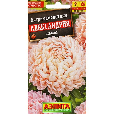 Семена Цветы, Астра, Александрия шамоа, 0.1 г, цветная упаковка, Аэлита