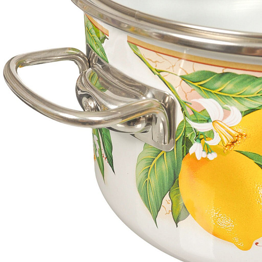 Кастрюля эмалированная сталь, 4 л, крышка стекло, Vitross, Limon, индукция