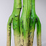 Дерево искусственное декоративное Пальма, в кашпо, 107 см, Y4-3373 - фото 3
