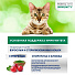 Корм для животных Perfect Fit, 580 г, для взрослых кошек, сухой, индейка, для иммунитета, Q2967 - фото 8