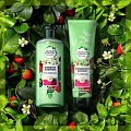 Бальзам-ополаскиватель для всех типов волос, Herbal Essences, Белая клубника и Сладкая мята, 275 мл - фото 4