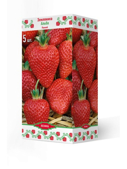 Саженцы Земляника садовая, Альба НФ311, 5 шт, 691228