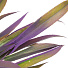 Цветок искусственный декоративный Ветвь, 37 см, темно-зеленый, Y6-10372 - фото 2
