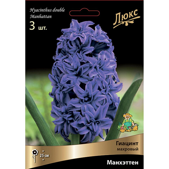 Луковицы Гиацинт махровый, Манхэттен, 15-16/К, 3 шт