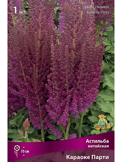 Луковицы Астильба китайская, Караоке Парти