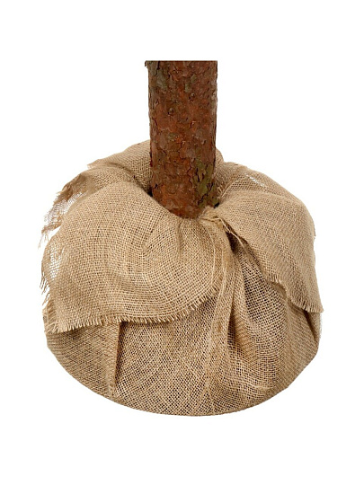 Елка новогодняя напольная, 120 см, Натуральное дерево, ель, зеленая, хвоя ПВХ пленка, заснеженная, P20-S