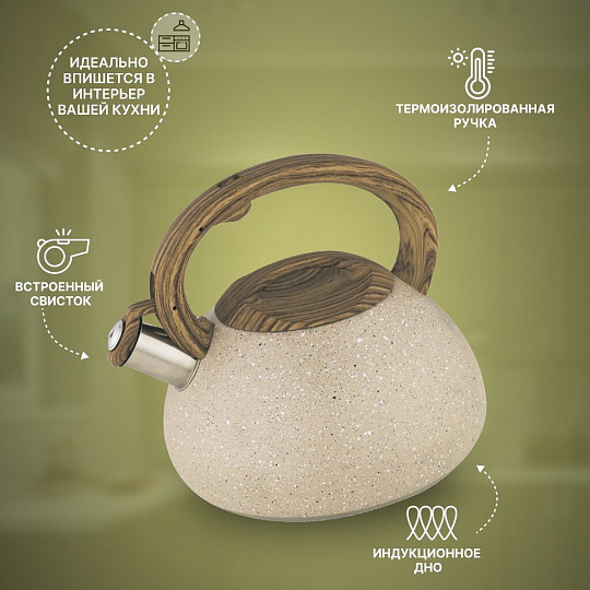 Чайник нержавеющая сталь, 3 л, со свистком, матовый, ручка бакелитовая, Alpenkok, индукция, AK-522