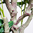 Дерево искусственное декоративное в кашпо, 150 см, Y4-3397 - фото 3
