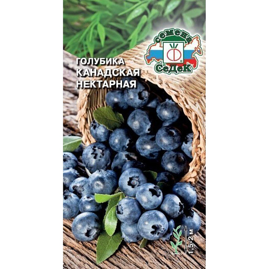 Семена Голубика, Нектарная, цветная упаковка, Седек