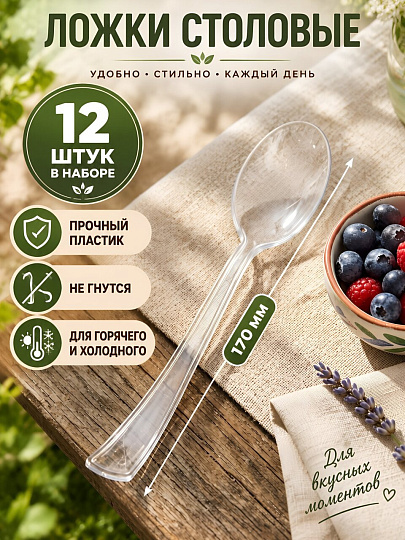 Ложка 12 шт, 170 мм, пластик, B040139, прозрачная