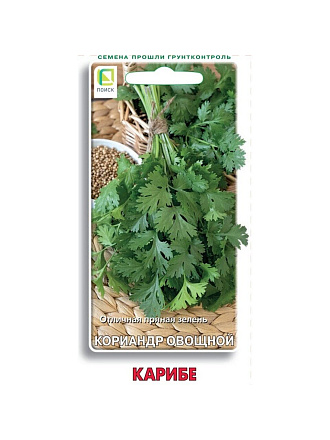 Семена Кинза, Карибе, 3 г, цветная упаковка, Поиск