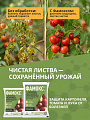 Фунгицид Фамокс, 3 г, гранулы, защита от фитофтороза, альтернариоза, пероноспороза, Агрусхим - фото 6
