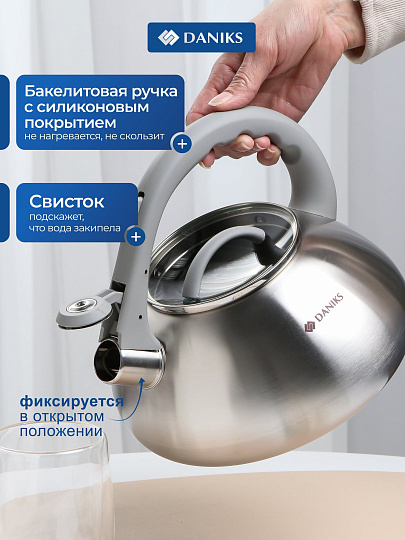 Чайник нержавеющая сталь, 3 л, со свистком, матовый, логотип меняет цвет, ручка с силиконовым покрытием, Daniks, DSC-8801