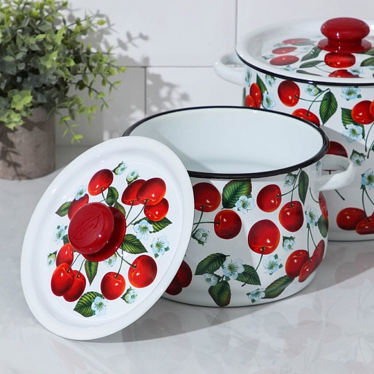 Набор посуды эмалированная сталь, 4 предмета, кастрюли 4,5.5 л, Сибирские товары, Сочная вишня 10, N10B58