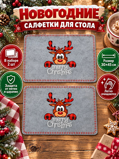 Набор салфеток 45х30 см, прямоугольный, 2 шт, для стола, серый, Y4-14012