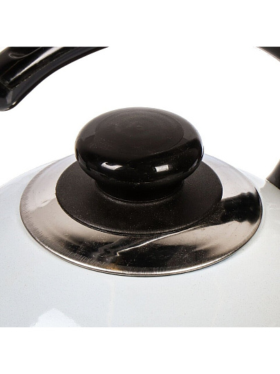 Чайник сталь, эмалированное покрытие, 2.5 л, со свистком, ручка консольная, Рубин, Космея, черно-белый, T04/25/03/41