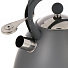 Чайник нержавеющая сталь, 2.7 л, со свистком, ручка бакелитовая, с силиконовым покрытием, Daniks, индукция, PR-2202 - фото 6