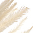 Цветок искусственный декоративный Колосья, 70 см, белый, Y4-7966 - фото 2