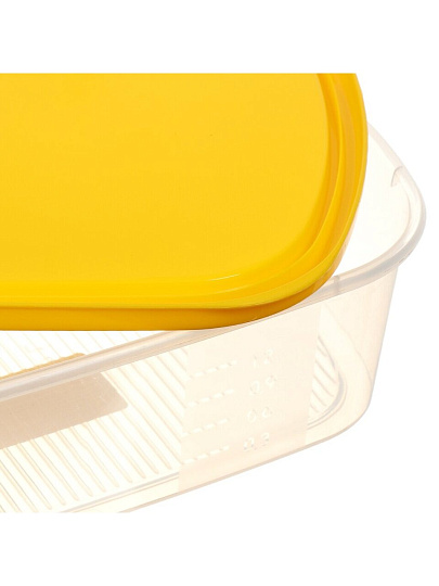 Контейнер пищевой пластик, 1.6 л, 23.8х17.1х6.3 см, в ассортименте, прямоугольный, Мультипласт, Умничка, MPU8164