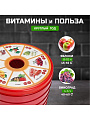 Сушилка для овощей, фруктов Василиса, СОЗ-520, 4 поддона, 520 Вт, регулируемая температура 30-70 °C - фото 4
