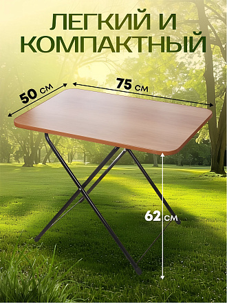 Стол складной 75х50х62 см, прямоугольный, металл, столешница ЛДСП, в ассортименте, Nika, Туристический