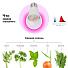 Лампочка светодиодная для растений, E27, 14 Вт, Эра, Фито FITO-14W-RB-E27-K, Б0039071 - фото 5
