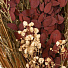 Цветок искусственный декоративный Композиция Тинги, 60 см, Y6-10345 - фото 2