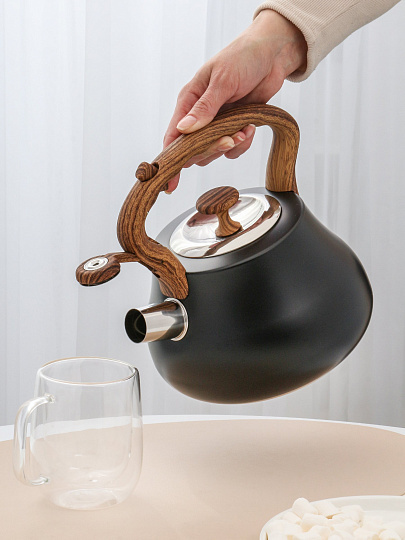 Чайник нержавеющая сталь, 2.8 л, со свистком, нейлон, Daniks, индукция, антрацит, GS-04052B-1