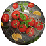 Салатник стекло, круглый, 30х6 см, Овощи, 877-624 - фото 3