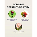 Удобрение для ягод, 1 кг, Удобряй - фото 5