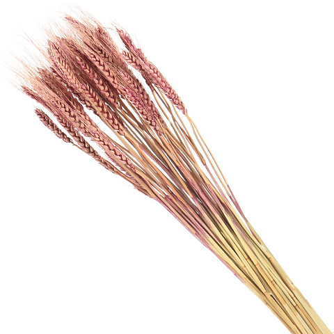 Цветок искусственный декоративный Колосья, 60 см, фиолетовый, Y4-6311