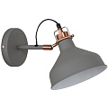 Светильник настенный Camelion Amsterdam WML-425 C73 40 Вт E27 серый + медь