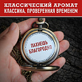 Дезодорант Old Spice, WhiteWater, для мужчин, спрей, 150 мл - фото 8