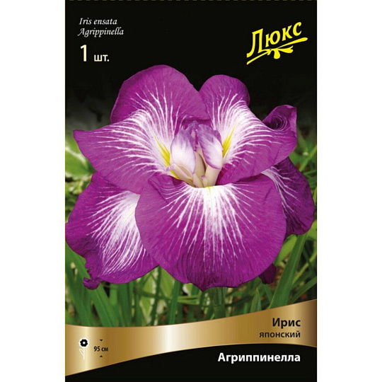 Луковицы Ирис японский, Агрипинелла