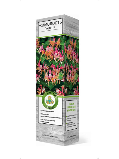 Саженцы Жимолость, Гекротта, декоративная, 779422