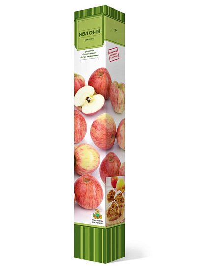 Саженцы Яблоня, Осеннее полосатое (Штрейфлинг), 763056