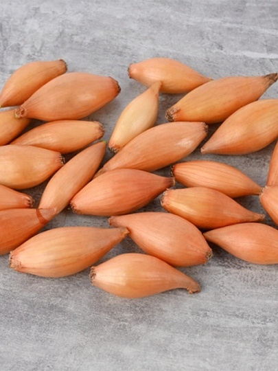 Луковицы Лук-севок, Олина, 1 кг